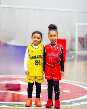 Image post by @toddlerball on Instagram