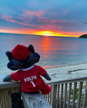 Image post by @stonybrooku on Instagram