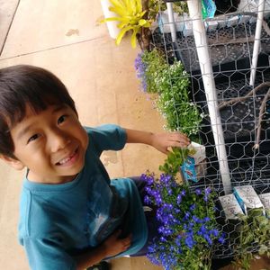 Image post by @kidsgardening on Instagram