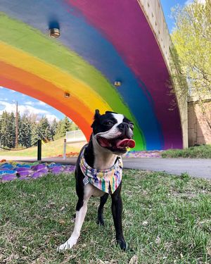 Image post by @cityofcalgary on Instagram