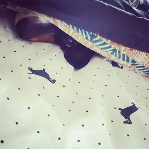 Image post by @hollysmee on Instagram
