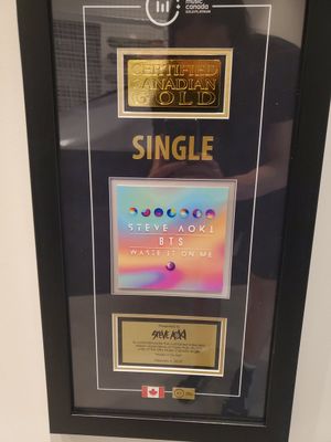 Image post by @steveaoki on Twitter