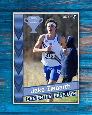 Image post by @bluejayxc on Instagram