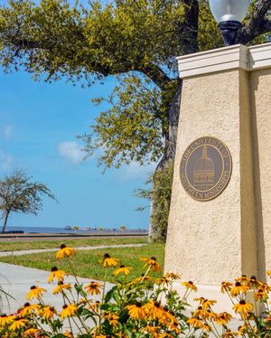 Image post by @officialsouthernmiss on Instagram