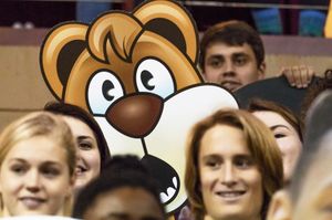 Image post by @collegeofcharleston on Instagram