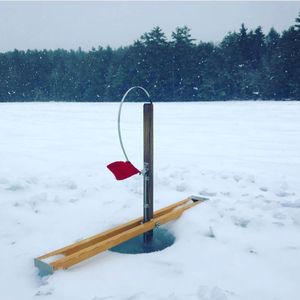 Image post by @themainemag on Instagram