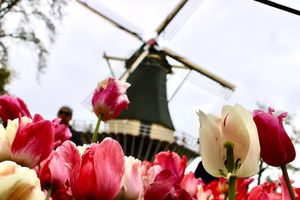 Image post by @adphotography_lab on Instagram