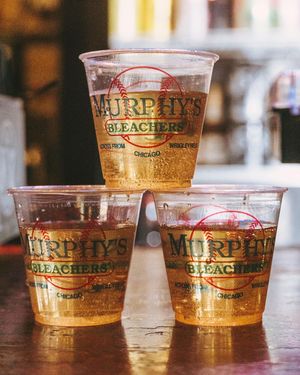 Image post by @murphysbleachers on Instagram