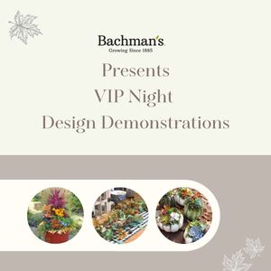 Image post by @shopbachmans on Instagram