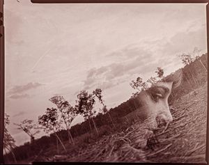 Image post by @joshua.komer on Instagram