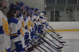 Image post by @jwuwhockey on Instagram