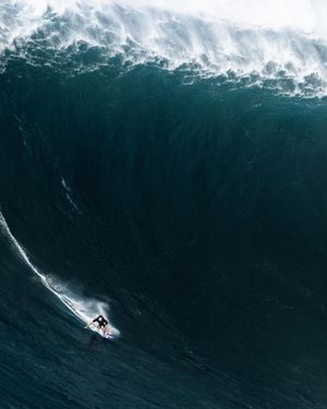 Image post by @discovery on Instagram