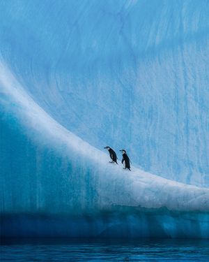 Image post by @natgeo on Instagram