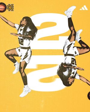 Image post by @ksuowlswbb on Instagram