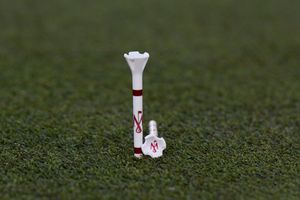 Image post by @evolvegolf on Twitter