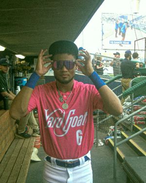 Image post by @hartfordyardgoats on Instagram