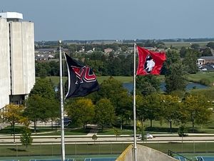 Image post by @niuhuskies on Instagram