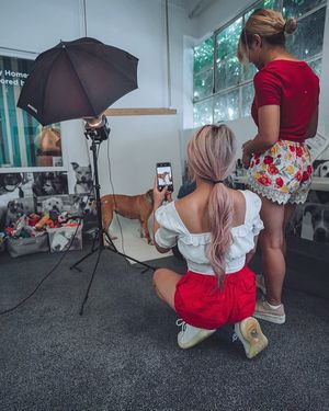 Image post by @joswin on Instagram