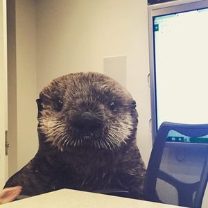 Image post by @kqed on Instagram