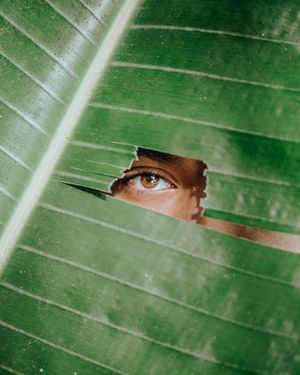Image post by @ryxnlevy on Instagram