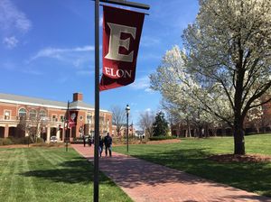 Image post by @elonvb on Instagram
