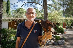 Image post by @kirstenalana on Facebook