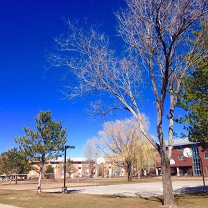 Image post by @nauflagstaff on Instagram