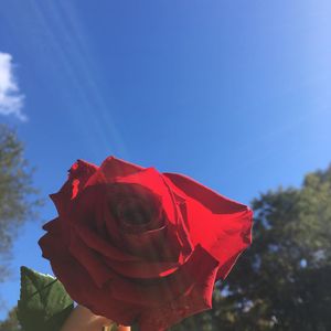 Image post by @scleggphotography on Instagram