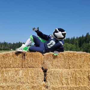 Image post by @blitztheseahawk on Instagram