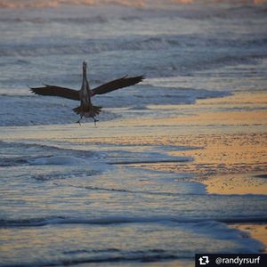 Image post by @txdot on Instagram