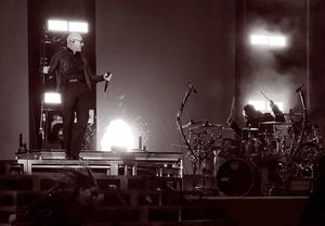 Image post by @pitbull on Instagram