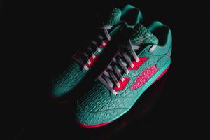 Image post by @mannymachado on Instagram