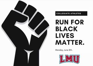 Image post by @lmulionswb on Instagram