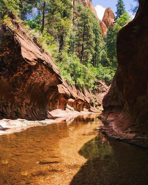 Image post by @nauflagstaff on Instagram