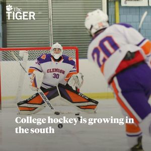 Image post by @thetigersports on Instagram