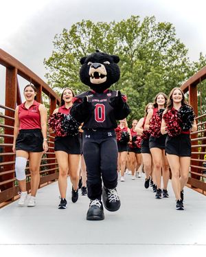 Image post by @bearssports on Instagram
