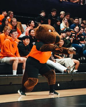 Image post by @beavervball on Instagram