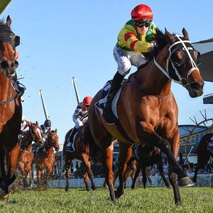 Image post by @australianturfclub on Instagram