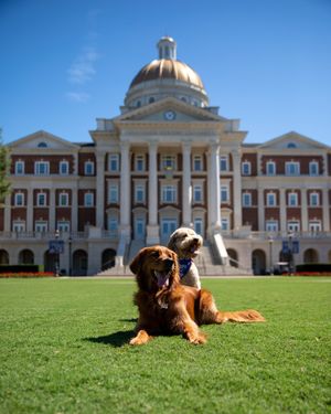 Image post by @christophernewportu on Instagram