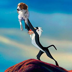 Image post by @mlbcut4 on Instagram