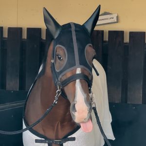 Image post by @worldhorseracing on Instagram