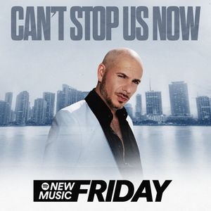 Image post by @pitbull on Instagram