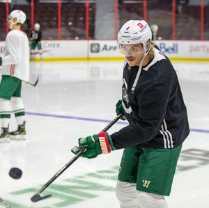 Image post by @minnesotawild on Instagram
