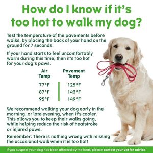 Image post by @YuMOVE.US on Facebook