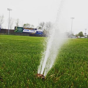 Image post by @kzoogrowlers on Instagram