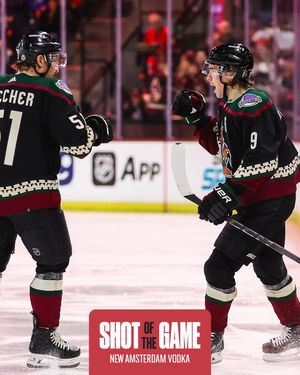Image post by @arizonacoyotes on Instagram