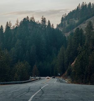 Image post by @takenbykathleen on Instagram