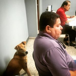 Image post by @indiosmayaguezlbprc on Instagram