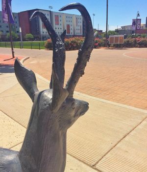 Image post by @gcu on Instagram