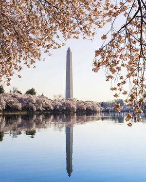 Image post by @hiltonhotels on Instagram